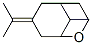 9-methyl-7-(1-methylethylidene)-2-oxabicyclo[3.3.1]nonane Struktur