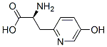 beta-(5-hydroxy-2-pyridyl)alanine Struktur