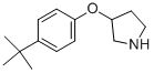 3-[4-(TERT-BUTYL)PHENOXY]PYRROLIDINE Struktur