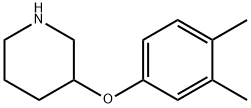 3-(3,4-DIMETHYLPHENOXY)PIPERIDINE Struktur