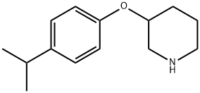 3-(4-ISOPROPYLPHENOXY)PIPERIDINE Struktur