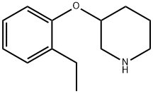 2-ETHYLPHENYL 3-PIPERIDINYL ETHER Struktur