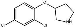 3-(2,4-DICHLOROPHENOXY)PYRROLIDINE Struktur