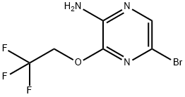 5-BroMo-3-(2,2,2-trifluoroethoxy)pyrazin-2-aMine Struktur