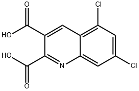 5,7-DICHLOROQUINOLINE-2,3-DICARBOXYLIC ACID Struktur