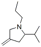 Pyrrolidine, 4-methylene-2-(1-methylethyl)-1-propyl- (9CI) Struktur