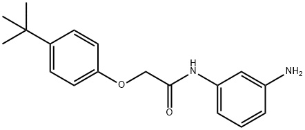 N-(3-Aminophenyl)-2-[4-(tert-butyl)phenoxy]-acetamide Struktur