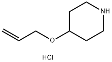 4-(Allyloxy)piperidine hydrochloride Struktur