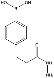 3-(4-Boronophenyl)propanehydrazide Struktur