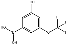 3-Hydroxy-5-(trifluoromethoxy)phenylboronic acid Struktur