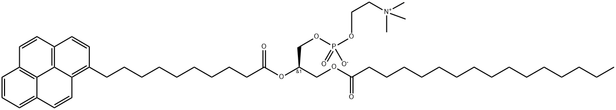 1-PALMITOYL-2-PYRENEDECANOYLPHOSPHATIDYLCHOLINE Struktur