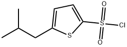 5-Isobutylthiophene-2-sulfonyl chloride Struktur