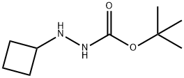 N'-cyclobutyl(tert-butoxy)carbohydrazide Struktur