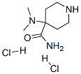 4-(dimethylamino)piperidine-4-carboxamide dihydrochloride Struktur