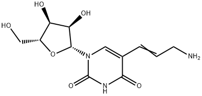 5-(3-aMino-1-propen-1-yl)-Uridine Struktur