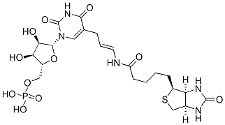 5-(N-biotinyl-3-aminoallyl)uridine 5'-monophosphate Struktur