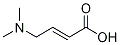 (E)-4-(diMethylaMino)but-2-enoic acid Struktur