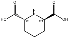 trans-2,6-Piperidinedicarboxylic acid Struktur