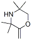 Morpholine,  3,3,5,5-tetramethyl-2-methylene- Struktur