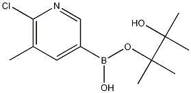 6-CHLORO-5-METHYLPYRIDINE-3-BORONIC ACID, PINACOL ESTER Struktur