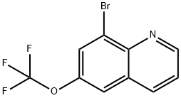 8-Bromo-6-trifluoromethoxyquinoline Struktur