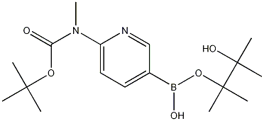 6-(tert-Butyloxycarbonyl-methylamino)pyridine-3-boronic acid pinacol ester Struktur