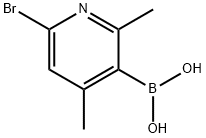 6-BROMO-2,4-DIMETHYLPYRIDINE-3-BORONIC ACID Struktur