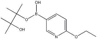 6-ETHOXYPYRIDINE-3-BORONIC ACID, PINACOL ESTER Struktur