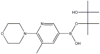 5-Methyl-6-(morpholin-4-yl)pyridine-3-boronic acid pinacol ester Struktur