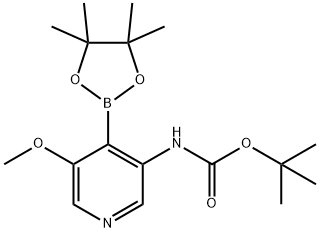 TERT-BUTYL 5-METHOXY-4-(4,4,5,5-TETRAMETHYL-1,3,2-DIOXABOROLAN-2-YL)PYRIDIN-3-YLCARBAMATE Struktur