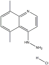 5,8-Dimethyl-4-hydrazinoquinoline hydrochloride Struktur