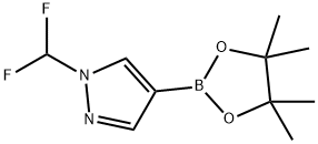 1-(difluoromethyl)-4-(4,4,5,5-tetramethyl-1,3,2-dioxaborolan-2-yl)-1H-pyrazole Structure