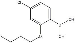 2-Butoxy-4-chlorophenylboronic acid Struktur