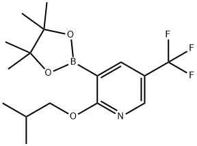 2-Isobutoxy-3-(4,4,5,5-tetramethyl-1,3,2-dioxaborolan-2-yl)-5-(trifluoromethyl)pyridine Struktur