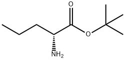 L-Norvaline t-butyl ester Struktur