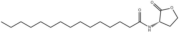 N-PENTADECANOYL-L-HOMOSERINE LACTONE Struktur