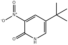 3-Nitro-5-tert-butyl-1H-pyridin-2-one Struktur