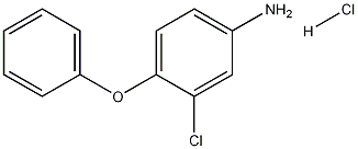 3-CHLORO-4-PHENOXYANILINE HYDROCHLORIDE Struktur