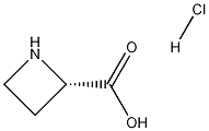 (s)-Azetidine-2-carboxylic  acid  HCl Struktur