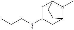 8-Azabicyclo(3.2.1)octan-3-amine, 8-methyl-N-propyl-, endo- Struktur