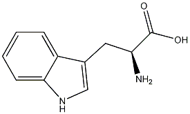 L-Tryptophane Struktur