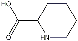 L-Pipecolicacid Struktur