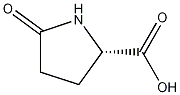 L-Pyroglutamic acid Struktur