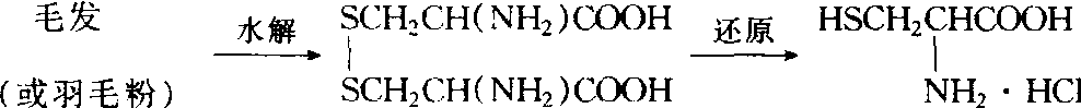 毛發(fā)中提取半胱氨酸方法