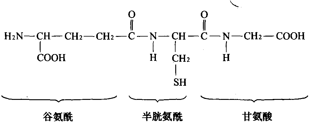 谷胱甘肽(GSH)的化學(xué)結(jié)構(gòu)式