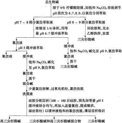 三尖杉酯堿與高三尖杉酯堿的分離