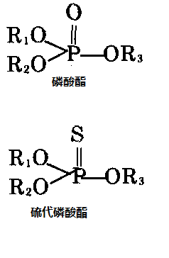 磷酸酯和硫代磷酸酯的分子結構通式