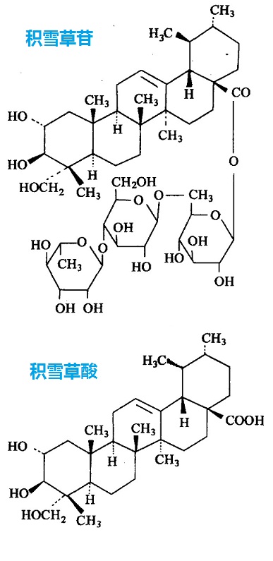 積雪草苷和積雪草酸的化學(xué)結(jié)構(gòu)式