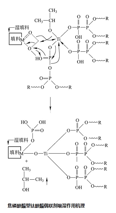 焦磷酸酯型鈦酸酯偶聯(lián)劑吸濕作用機(jī)理