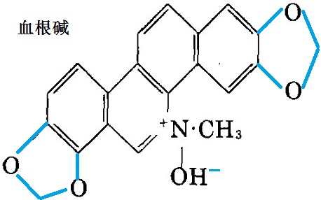 血根堿化學(xué)結(jié)構(gòu)式